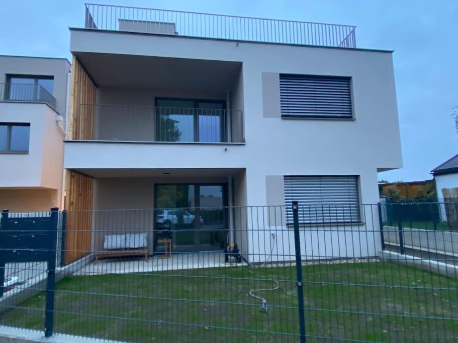 Modern Studio Gardenia_Gartenwohnung Alte Donau 维也纳 外观 照片